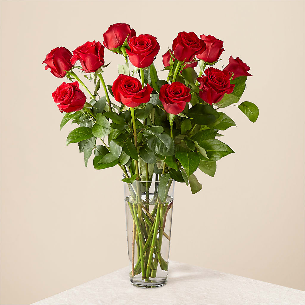 Long Stem Red Rose Bouquet – The Asheville Florist, Swannanoa NC
