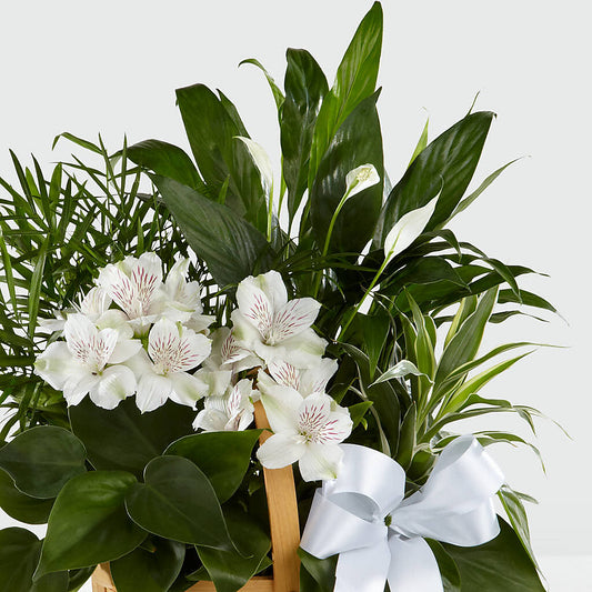 Peace & Serenity Dishgarden – The Asheville Florist, Swannanoa NC