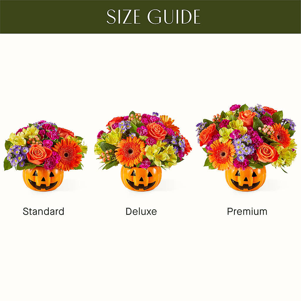 Tricks & Treats Pumpkin – The Asheville Florist, Swannanoa NC