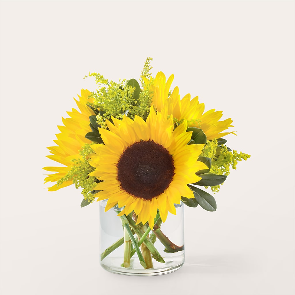 Beaming Sunflower Bouquet – The Asheville Florist, Swannanoa NC