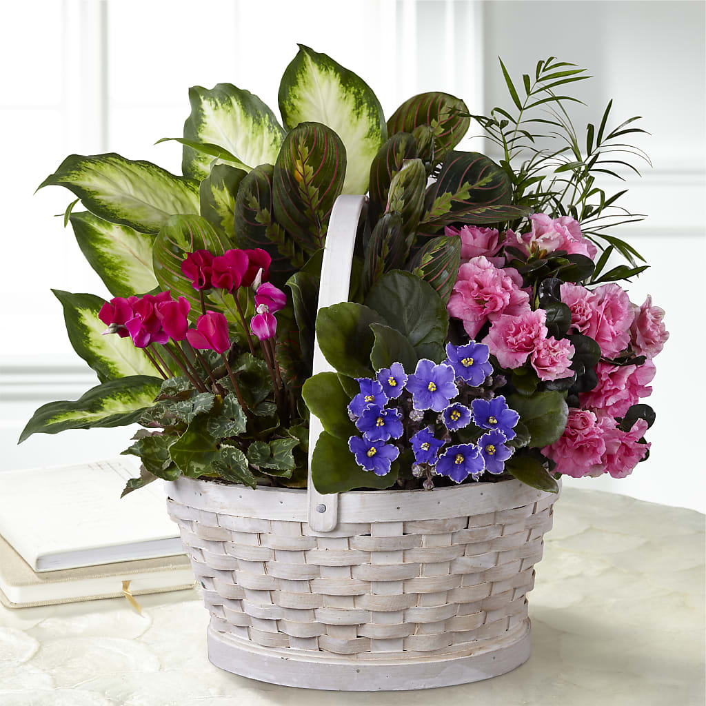 Peaceful Garden Planter – The Asheville Florist, Swannanoa NC
