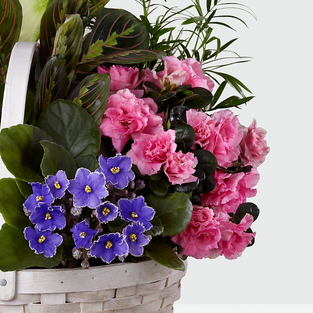 Peaceful Garden Planter – The Asheville Florist, Swannanoa NC