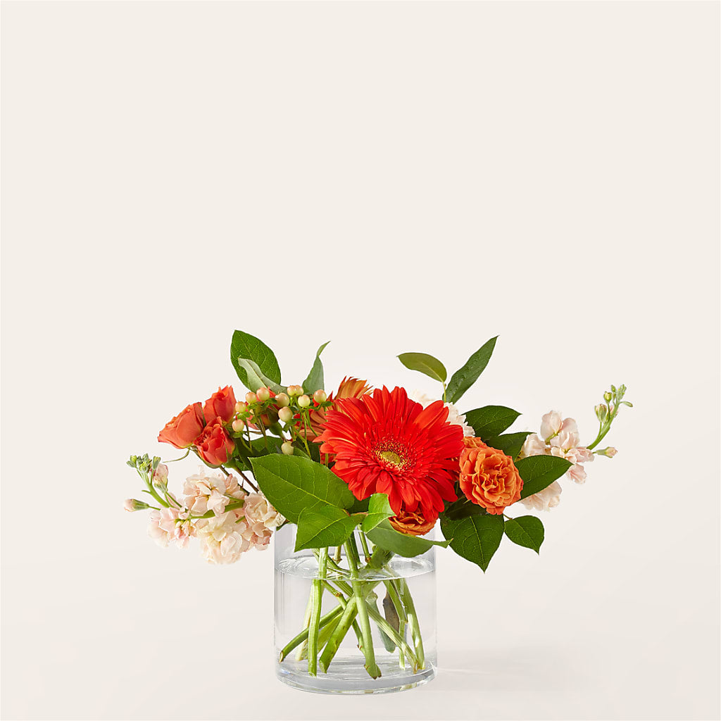 Paloma Please Bouquet – The Asheville Florist, Swannanoa NC