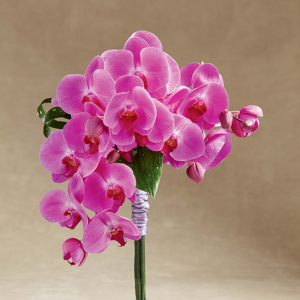 Glorious Bouquet – The Asheville Florist, Swannanoa NC