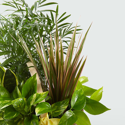 French Garden –  The Asheville Florist, Swannanoa NC