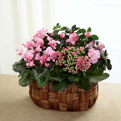 Pink Assortment –  The Asheville Florist, Swannanoa NC