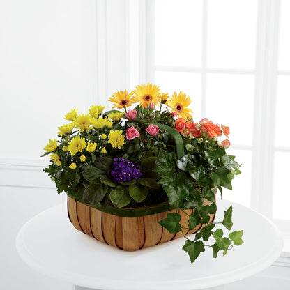 Gentle Blossoms Basket –  The Asheville Florist, Swannanoa NC