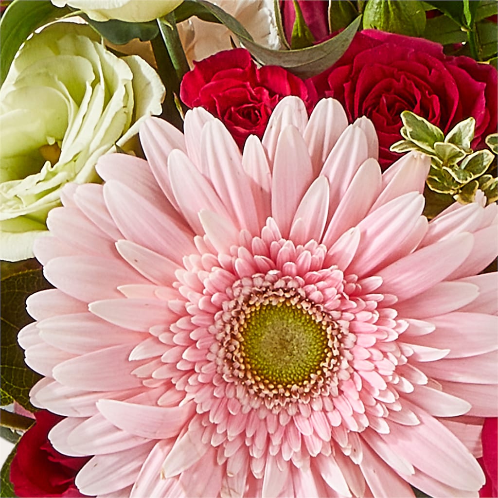 Too Cute Bouquet –  The Asheville Florist, Swannanoa NC