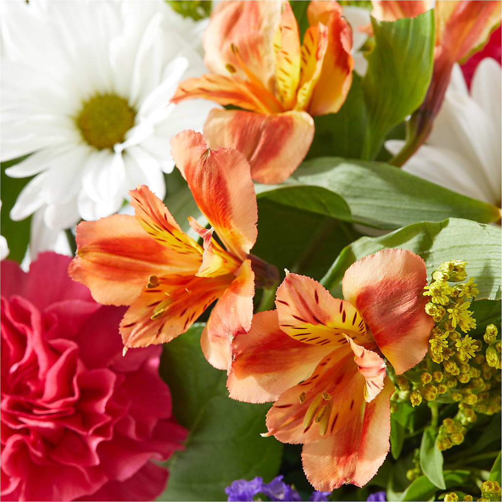 Oopsie Daisy Box Bouquet –  The Asheville Florist, Swannanoa NC
