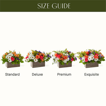 Oopsie Daisy Box Bouquet –  The Asheville Florist, Swannanoa NC