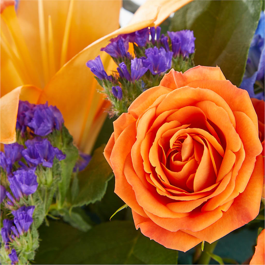 Radiant Citrus Box Bouquet –  The Asheville Florist, Swannanoa NC