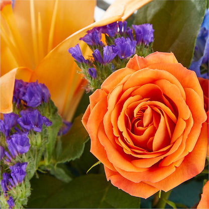 Radiant Citrus Box Bouquet –  The Asheville Florist, Swannanoa NC