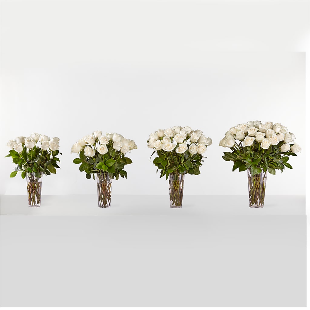 Long Stem White Rose Bouquet –  The Asheville Florist, Swannanoa NC