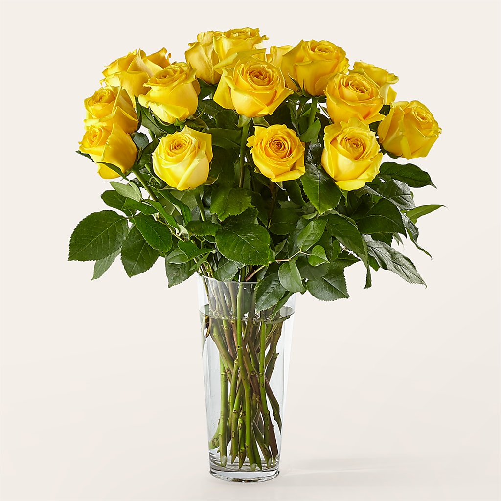 Long Stem Yellow Rose Bouquet –  The Asheville Florist, Swannanoa NC