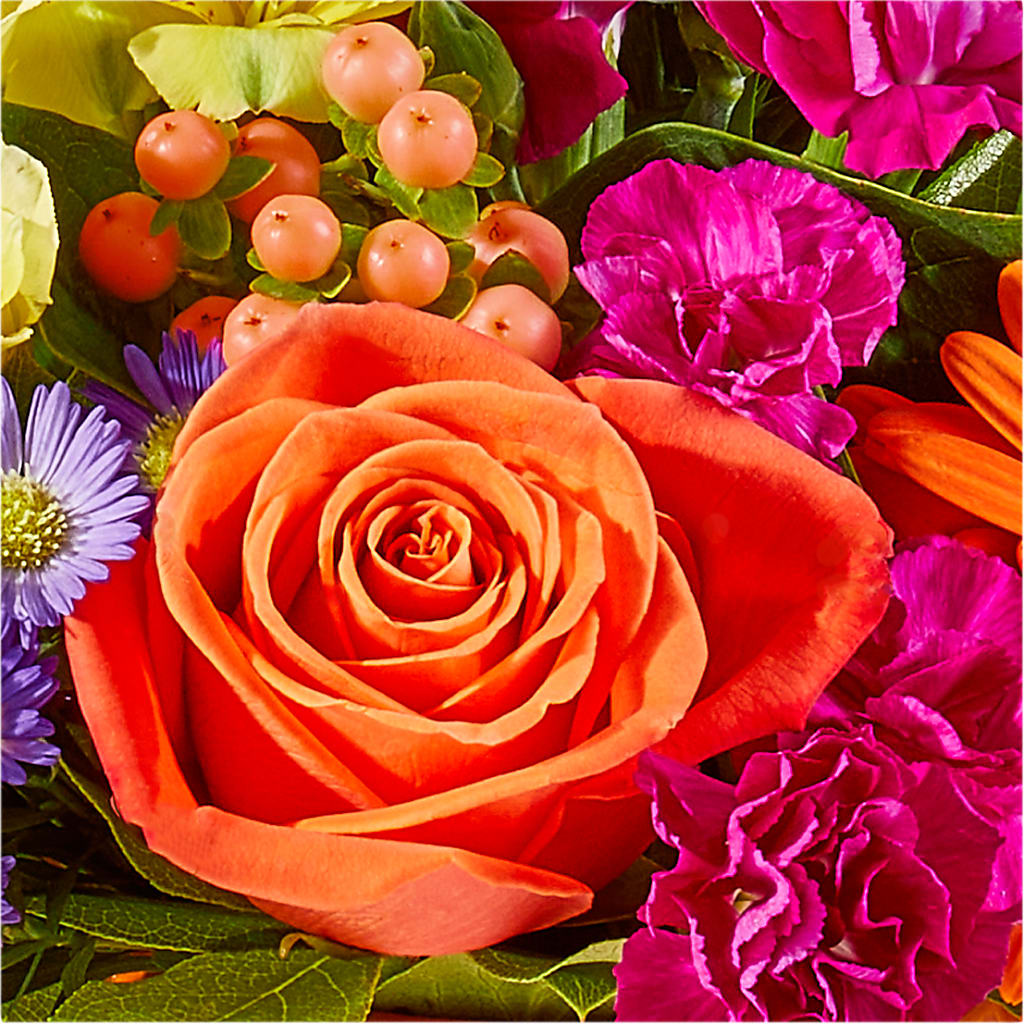 Tricks & Treats Pumpkin –  The Asheville Florist, Swannanoa NC