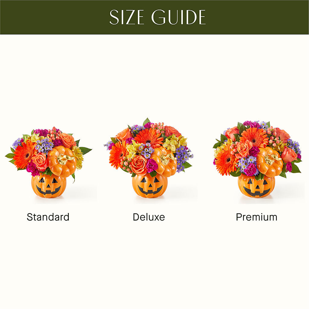 Tricks & Treats Pumpkin –  The Asheville Florist, Swannanoa NC