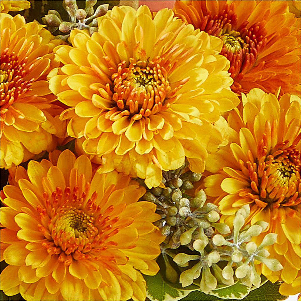 Peachy Pumpkin –  The Asheville Florist, Swannanoa NC