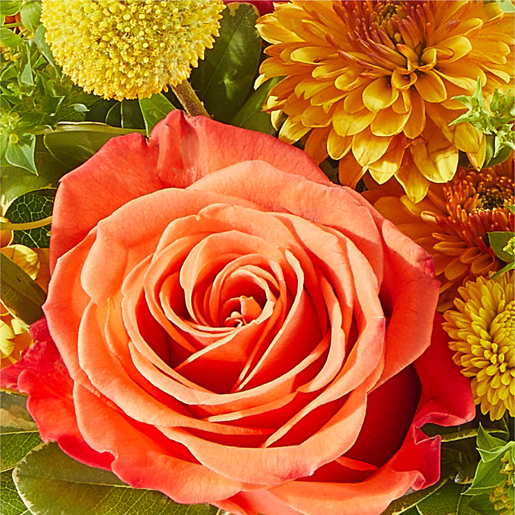 Gourdgeous Pumpkin –  The Asheville Florist, Swannanoa NC