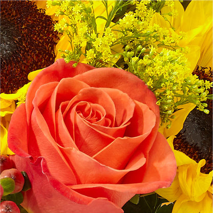 Pick of the Patch Pumpkin Bouquet –  The Asheville Florist, Swannanoa NC