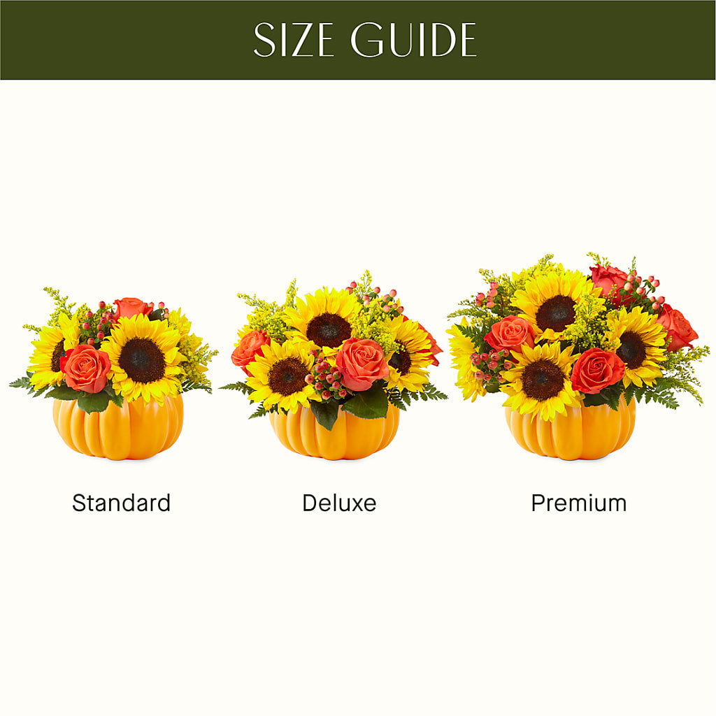 Pick of the Patch Pumpkin Bouquet –  The Asheville Florist, Swannanoa NC