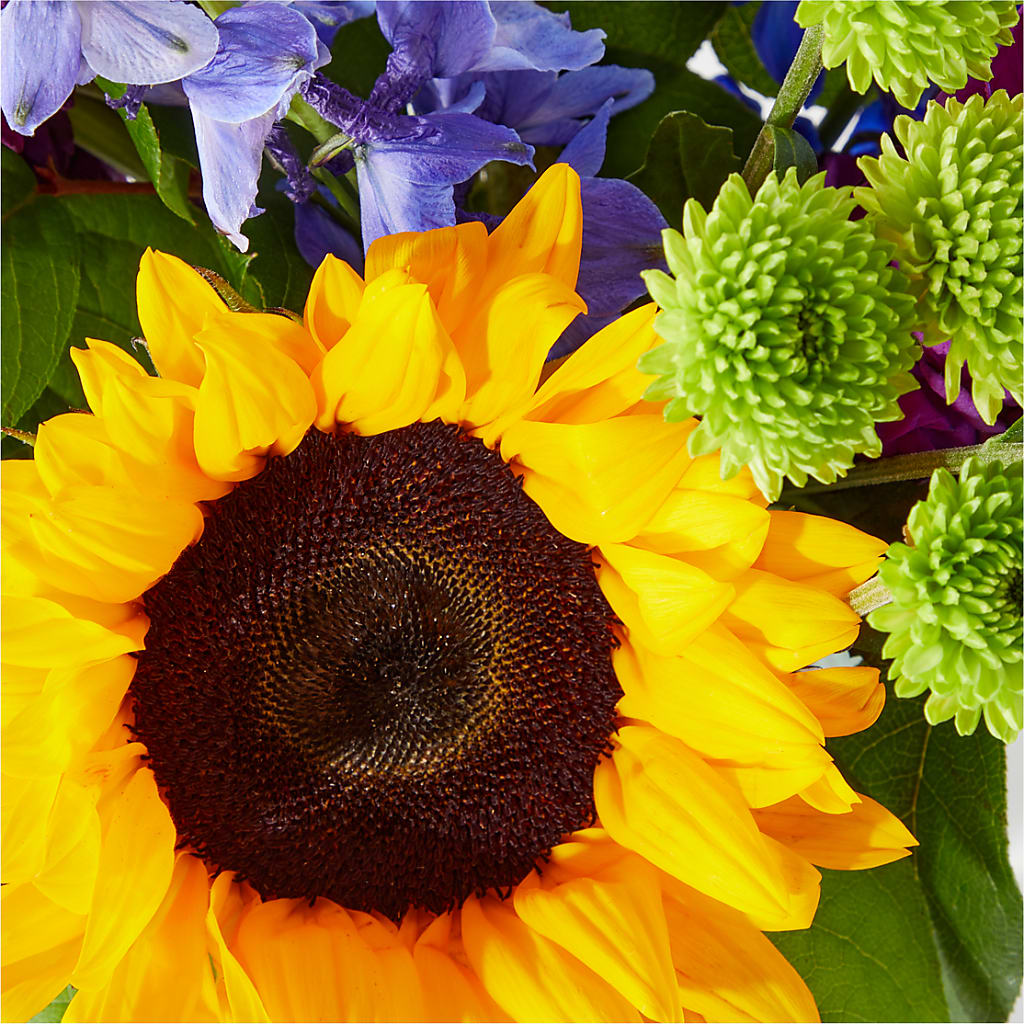 Catching Rays Bouquet –  The Asheville Florist, Swannanoa NC