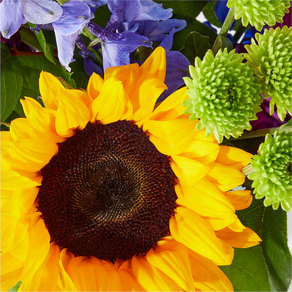 Catching Rays Bouquet –  The Asheville Florist, Swannanoa NC