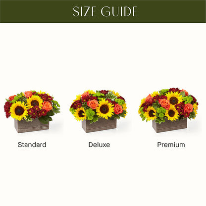 Happy Harvest Garden –  The Asheville Florist, Swannanoa NC
