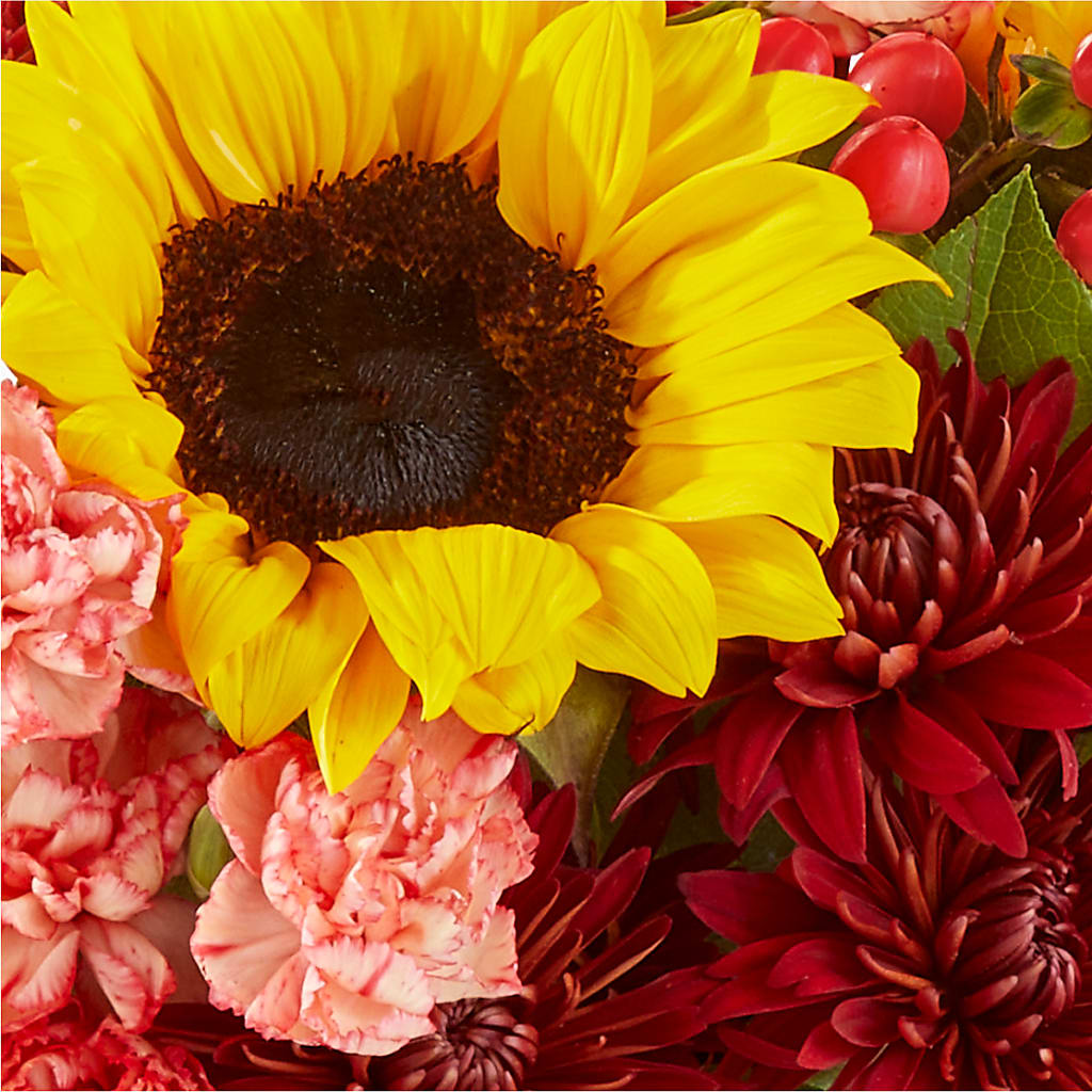 Fresh Cider Bouquet –  The Asheville Florist, Swannanoa NC