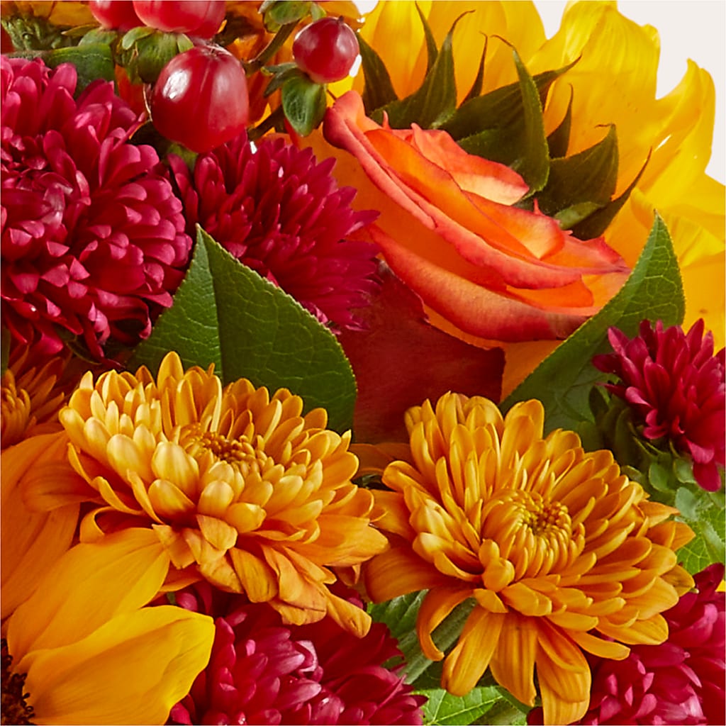 Sweater Season - A Florist Original –  The Asheville Florist, Swannanoa NC