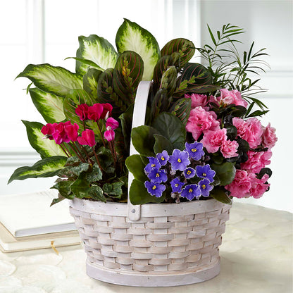 Peaceful Garden Planter –  The Asheville Florist, Swannanoa NC