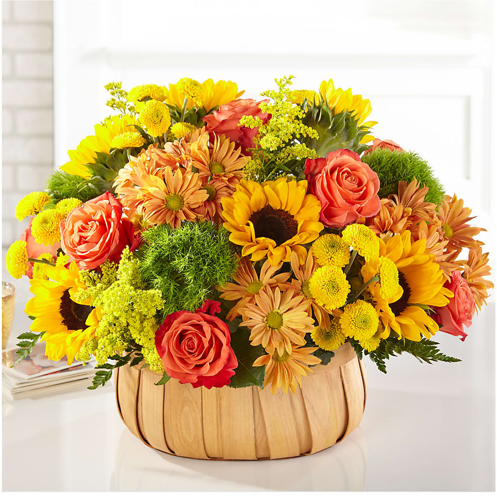 Harvest Sunflower Basket –  The Asheville Florist, Swannanoa NC