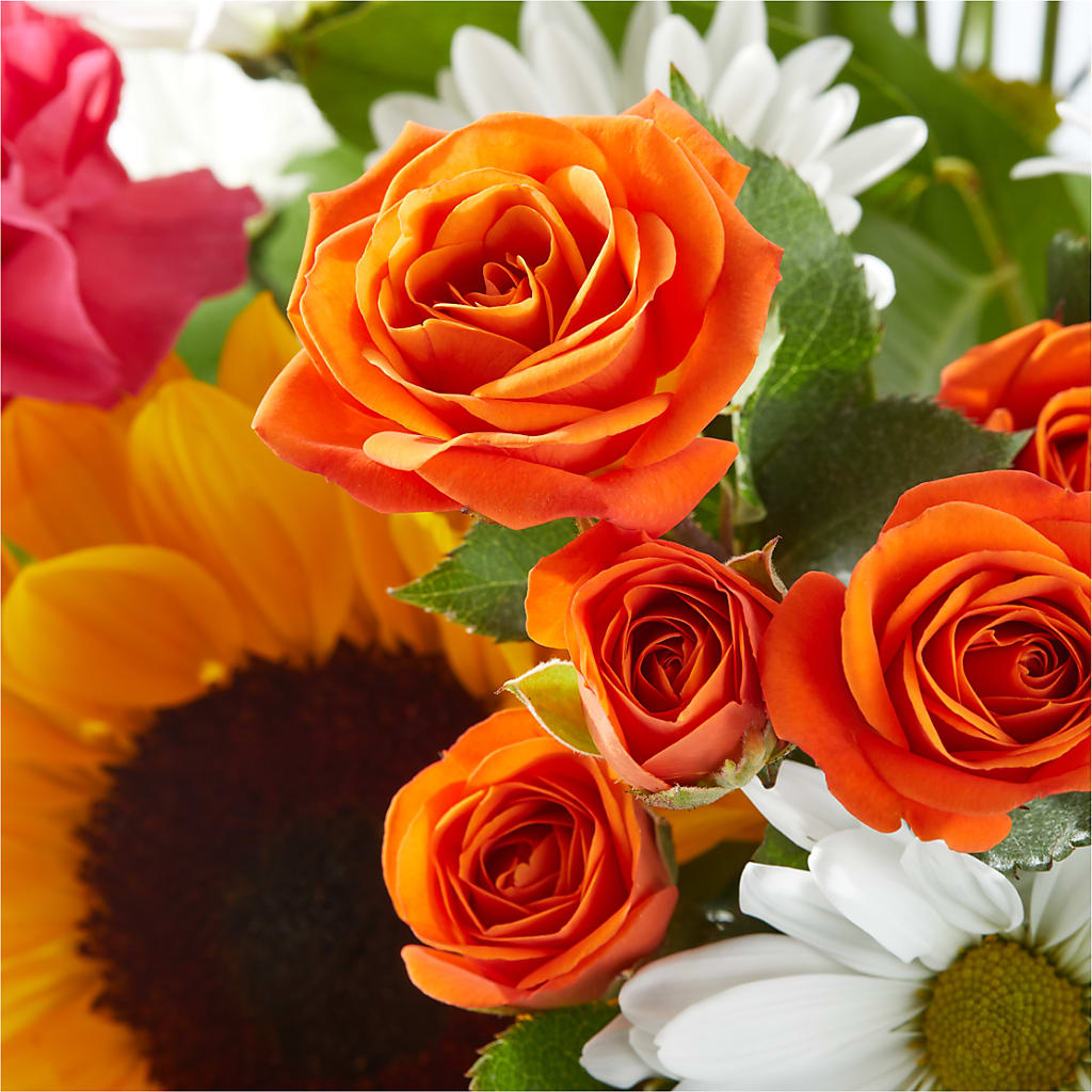 Sun-drenched Blooms Bouquet –  The Asheville Florist, Swannanoa NC