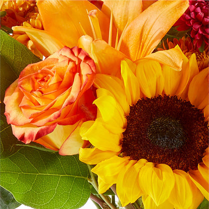 Fall Day Bouquet –  The Asheville Florist, Swannanoa NC