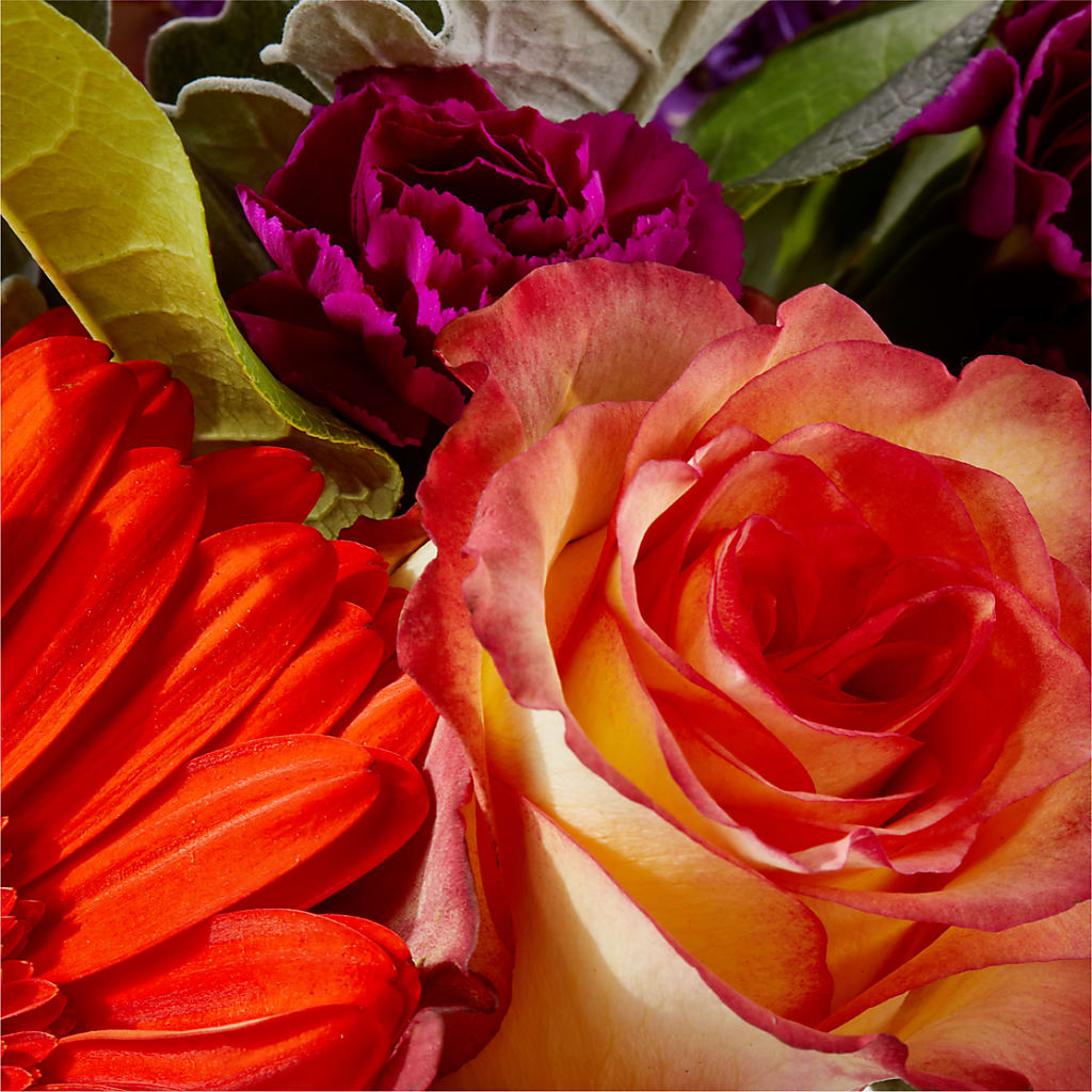 Sangria Bouquet –  The Asheville Florist, Swannanoa NC