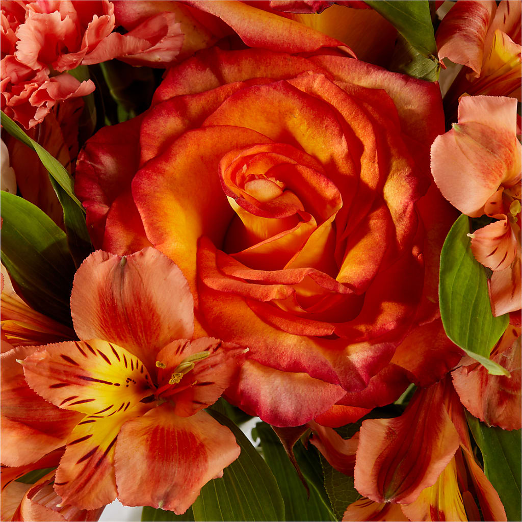 Apricot Glow Bouquet –  The Asheville Florist, Swannanoa NC