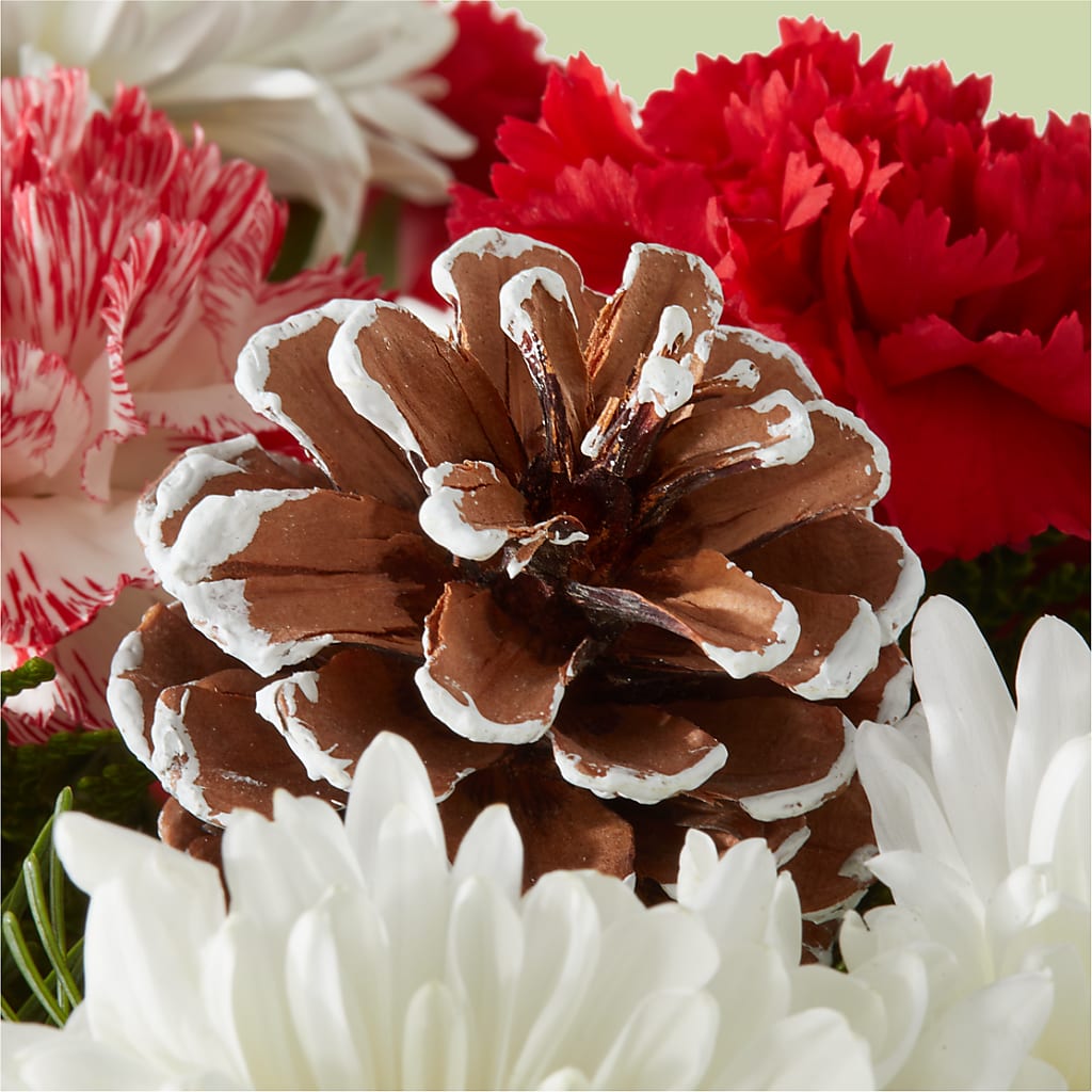 Candy Cane Lane Bouquet –  The Asheville Florist, Swannanoa NC
