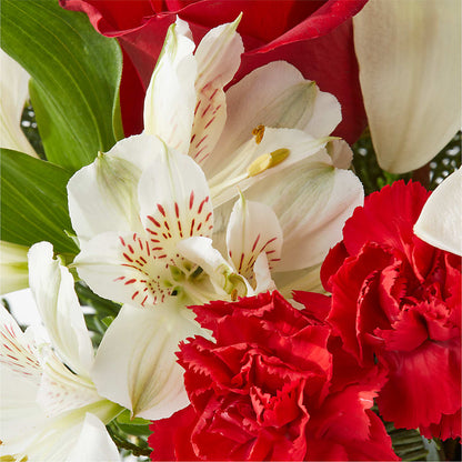 Holiday Season Bouquet –  The Asheville Florist, Swannanoa NC