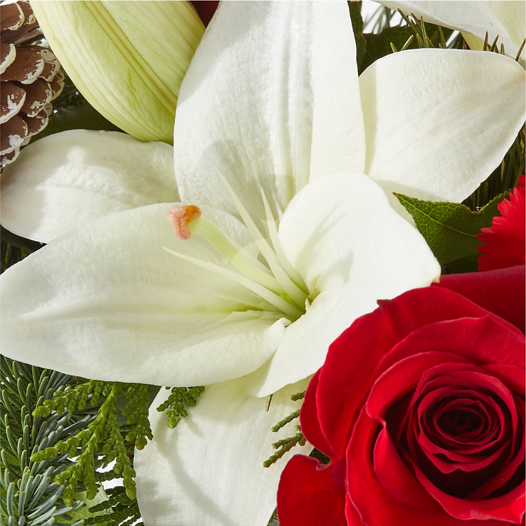 Oh So Jolly Bouquet –  The Asheville Florist, Swannanoa NC