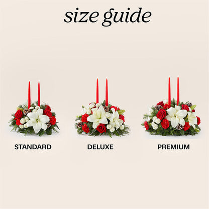 Seasonal Festivities Centerpiece –  The Asheville Florist, Swannanoa NC