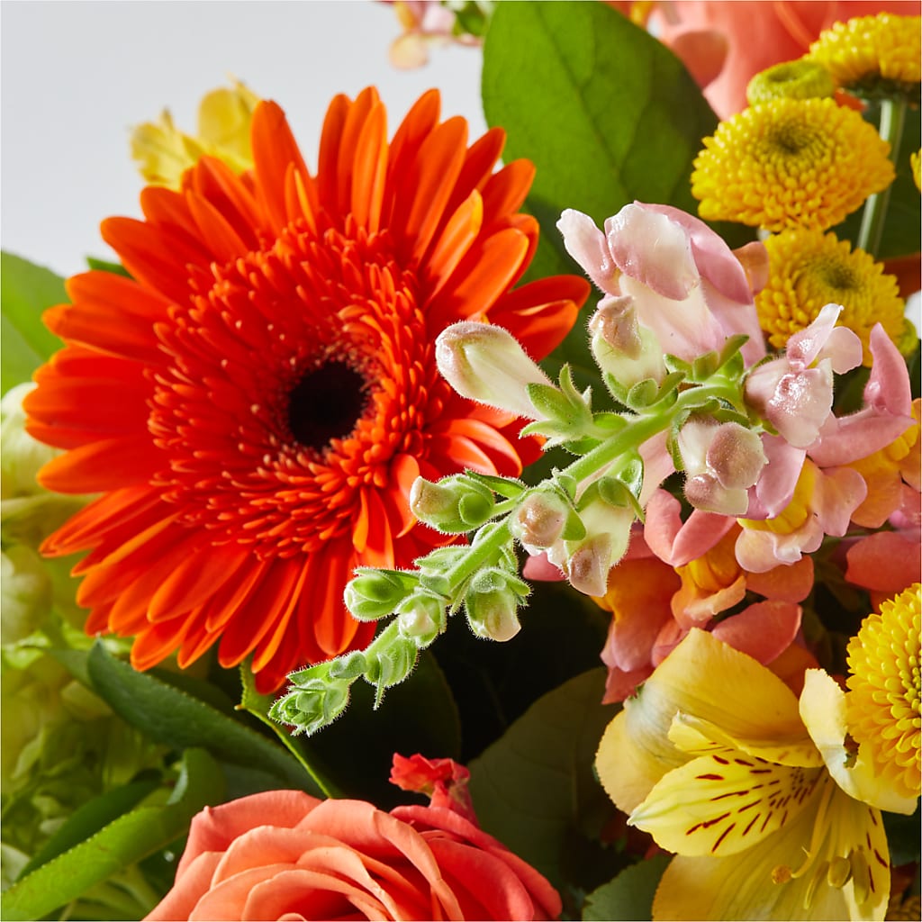 Autumn Sunshine Bouquet –  The Asheville Florist, Swannanoa NC