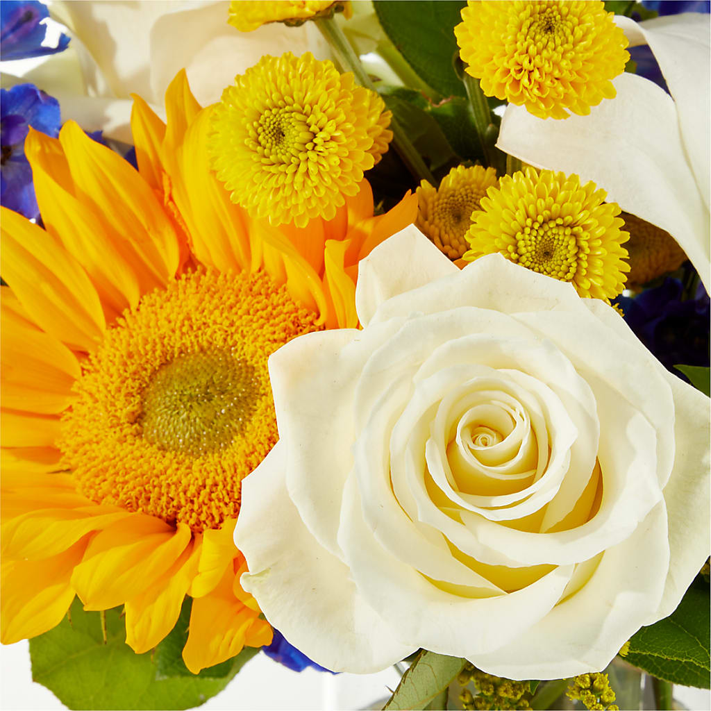 Stargazing Bouquet –  The Asheville Florist, Swannanoa NC