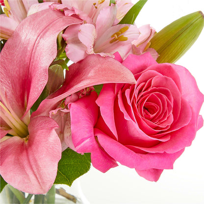 Lots of Love Bouquet –  The Asheville Florist, Swannanoa NC