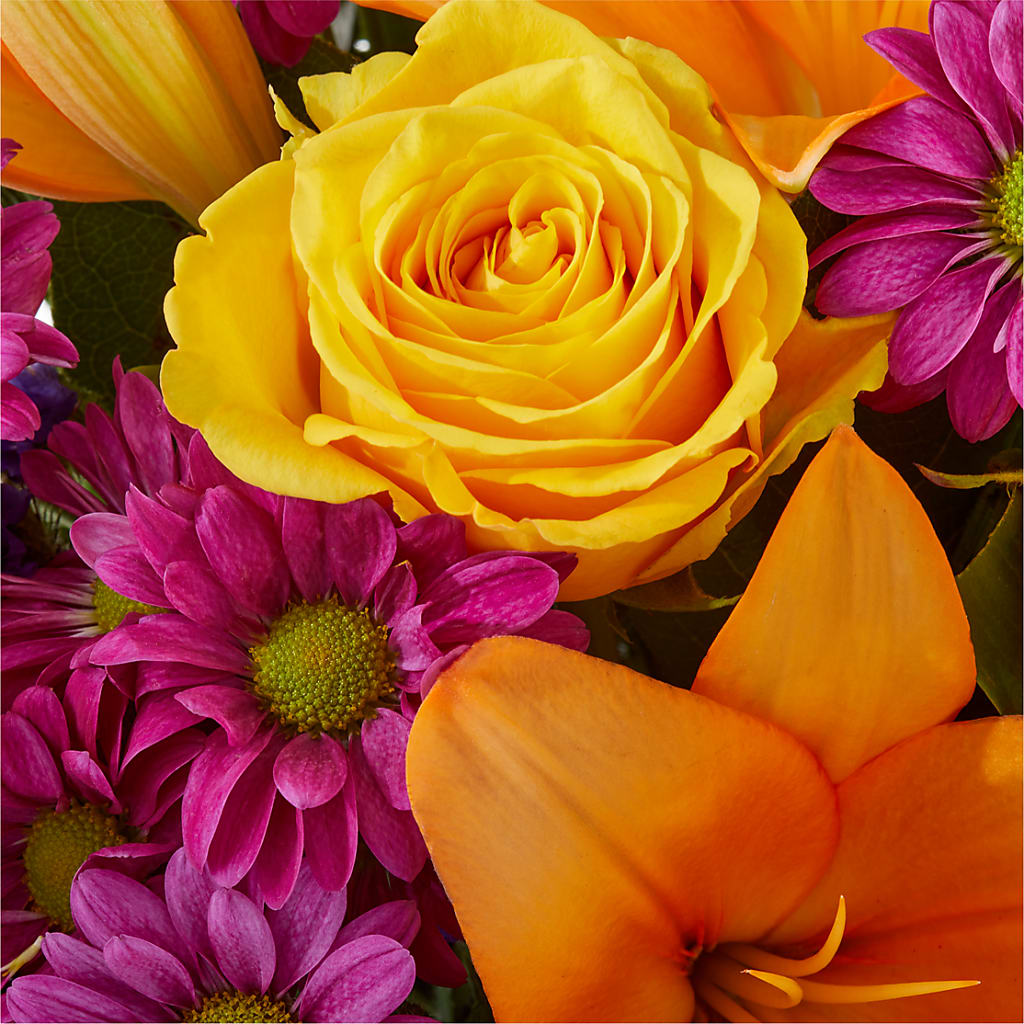 Colorful Visions Bouquet –  The Asheville Florist, Swannanoa NC