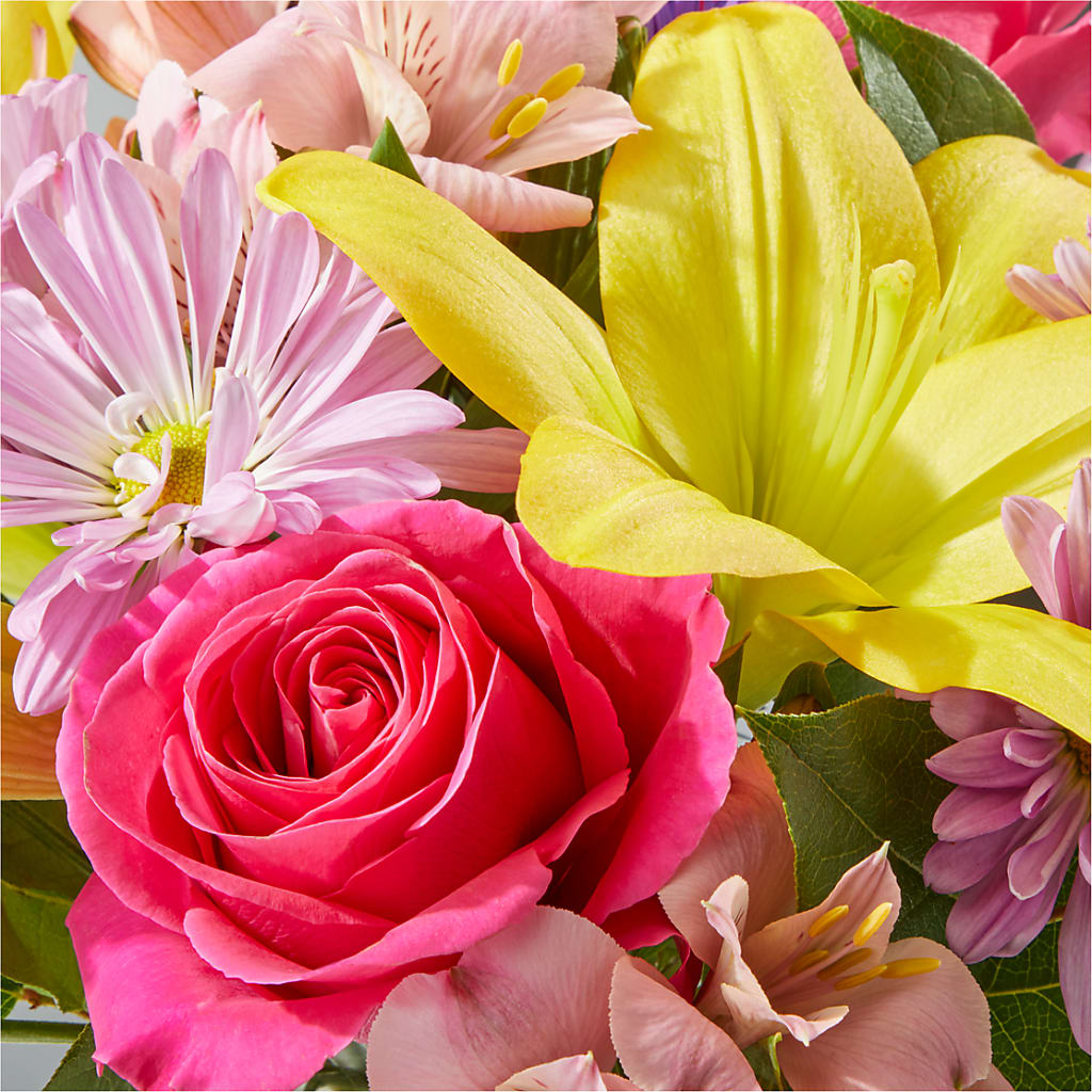 Sprinkles Bouquet –  The Asheville Florist, Swannanoa NC