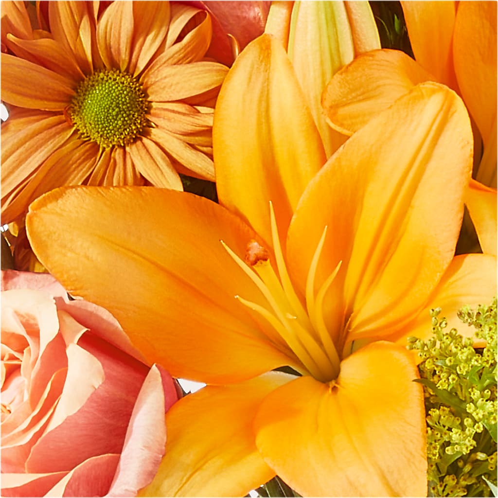 Harvest Hayride Bouquet –  The Asheville Florist, Swannanoa NC