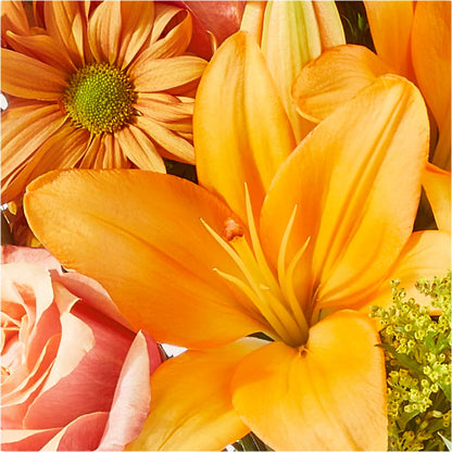 Harvest Hayride Bouquet –  The Asheville Florist, Swannanoa NC