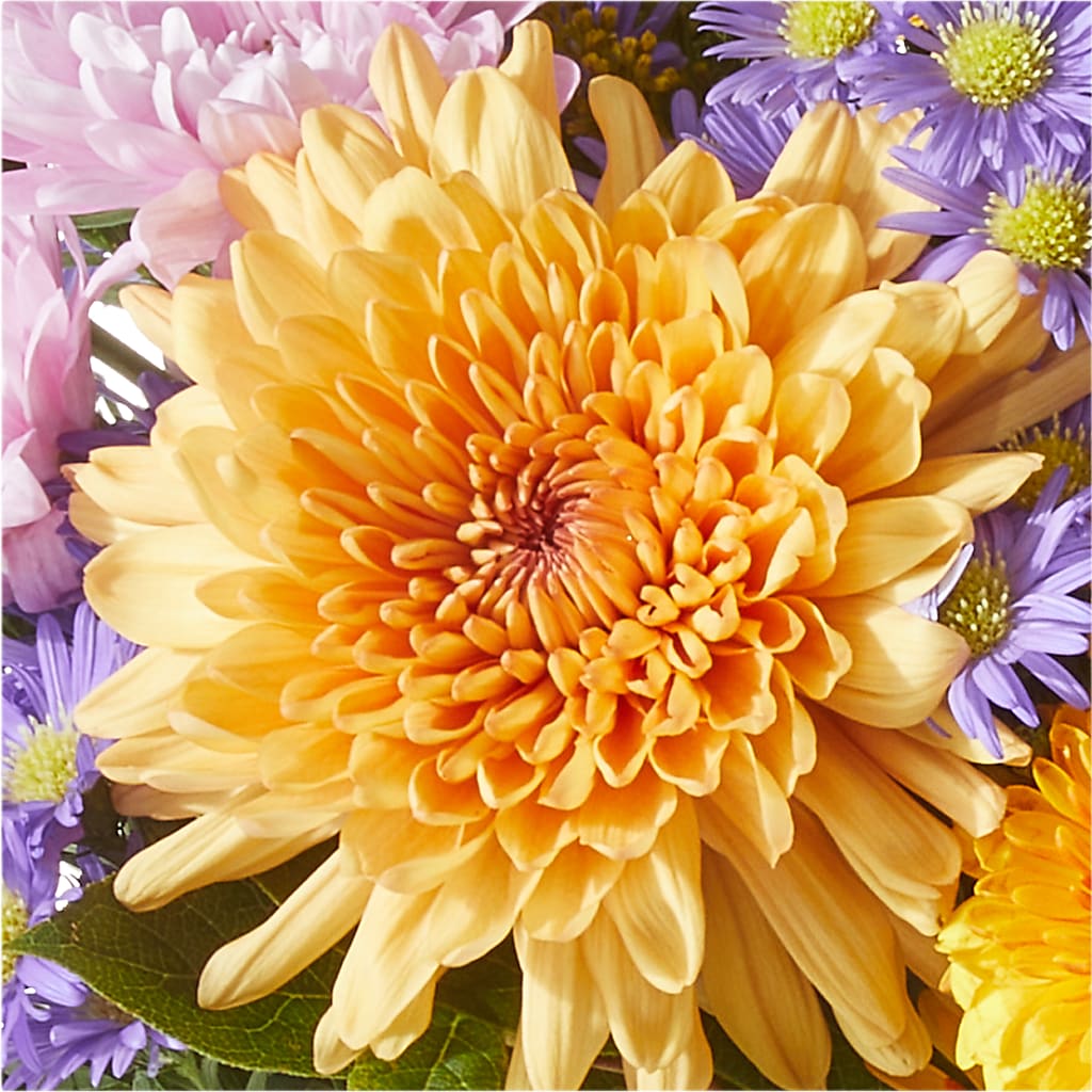 Countryside Bouquet –  The Asheville Florist, Swannanoa NC