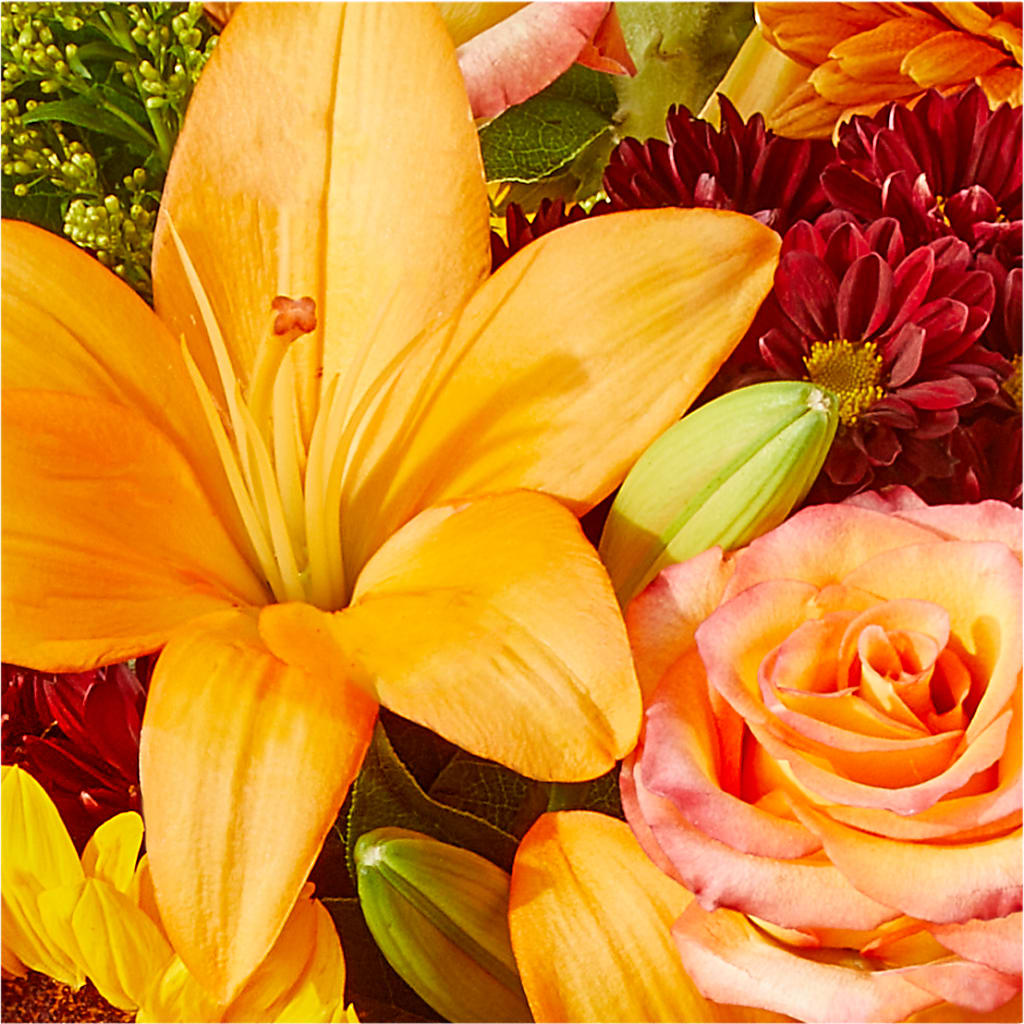 Seasons Change Bouquet –  The Asheville Florist, Swannanoa NC