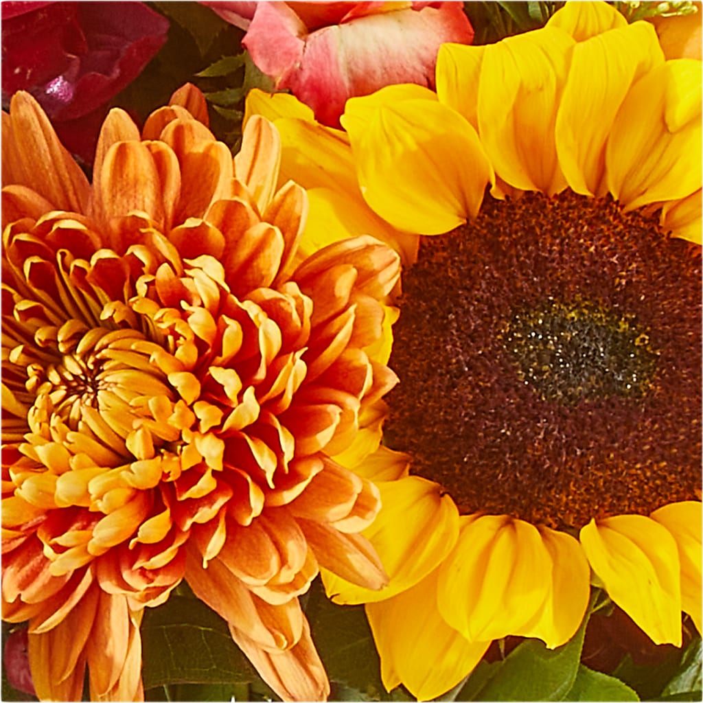 Seasons Change Bouquet –  The Asheville Florist, Swannanoa NC