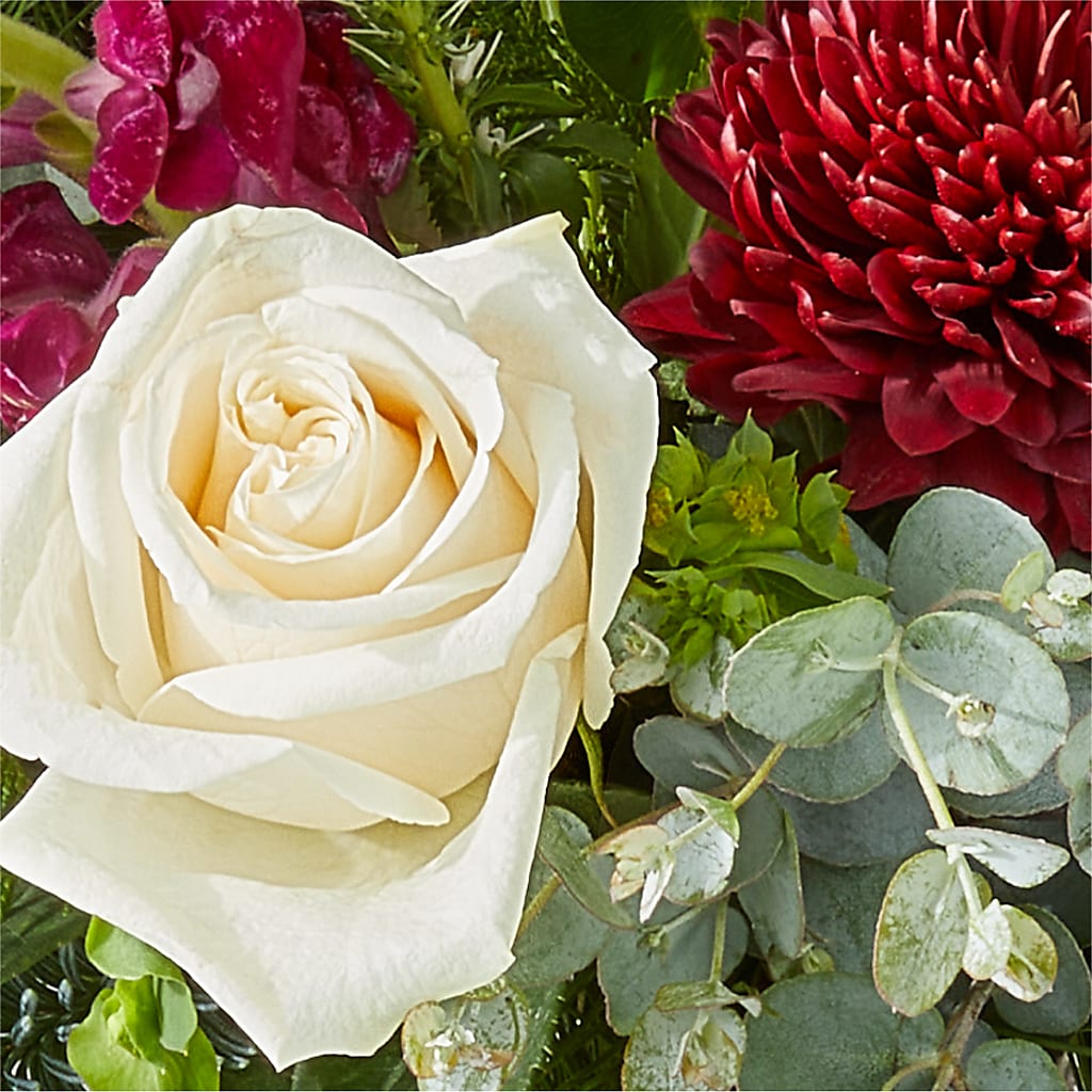 Cranberry Fizz Bouquet –  The Asheville Florist, Swannanoa NC